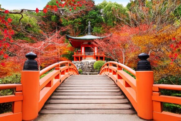 Daigoji Temple in Autumn, Kyoto, Japan