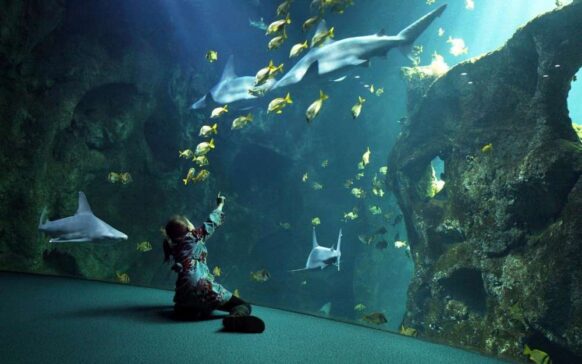 La Rochelle Aquarium