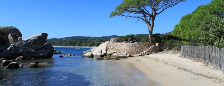 aller en Corse cet été