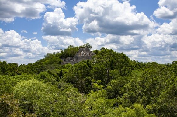 Ruines De Calakmul - Ruines Mayas à Campeche