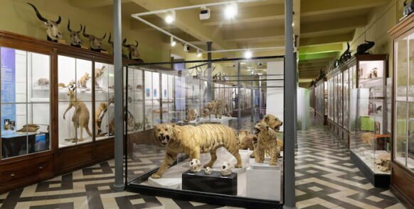 musée sur la civilisation romaine