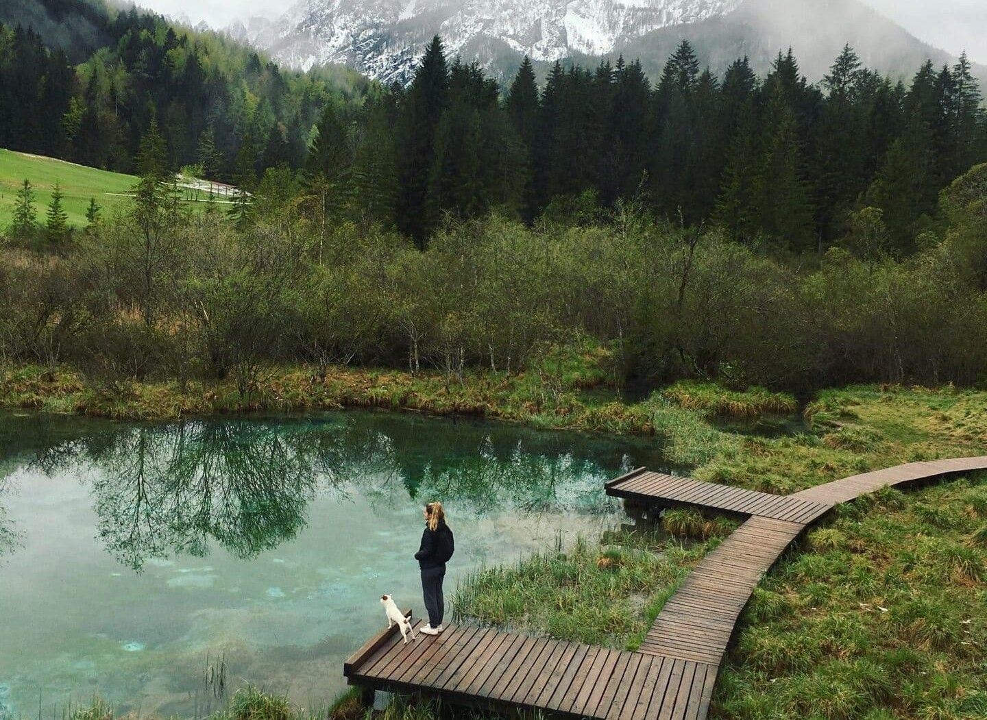 Promeneuse et son chien sur un ponton en bois face à un lac de montagne